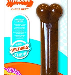 KONG Traxx Tire - Juguete de Goma con Forma de Llanta para Perros