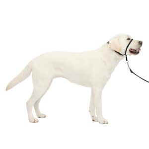 PetSafe Easy Walk - Arnés Antitirones Frontal Acolchado para Perros