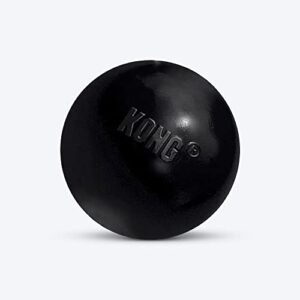 Chuckit! Classic Launcher - Lanzador Ergonómico de Pelotas para Perro