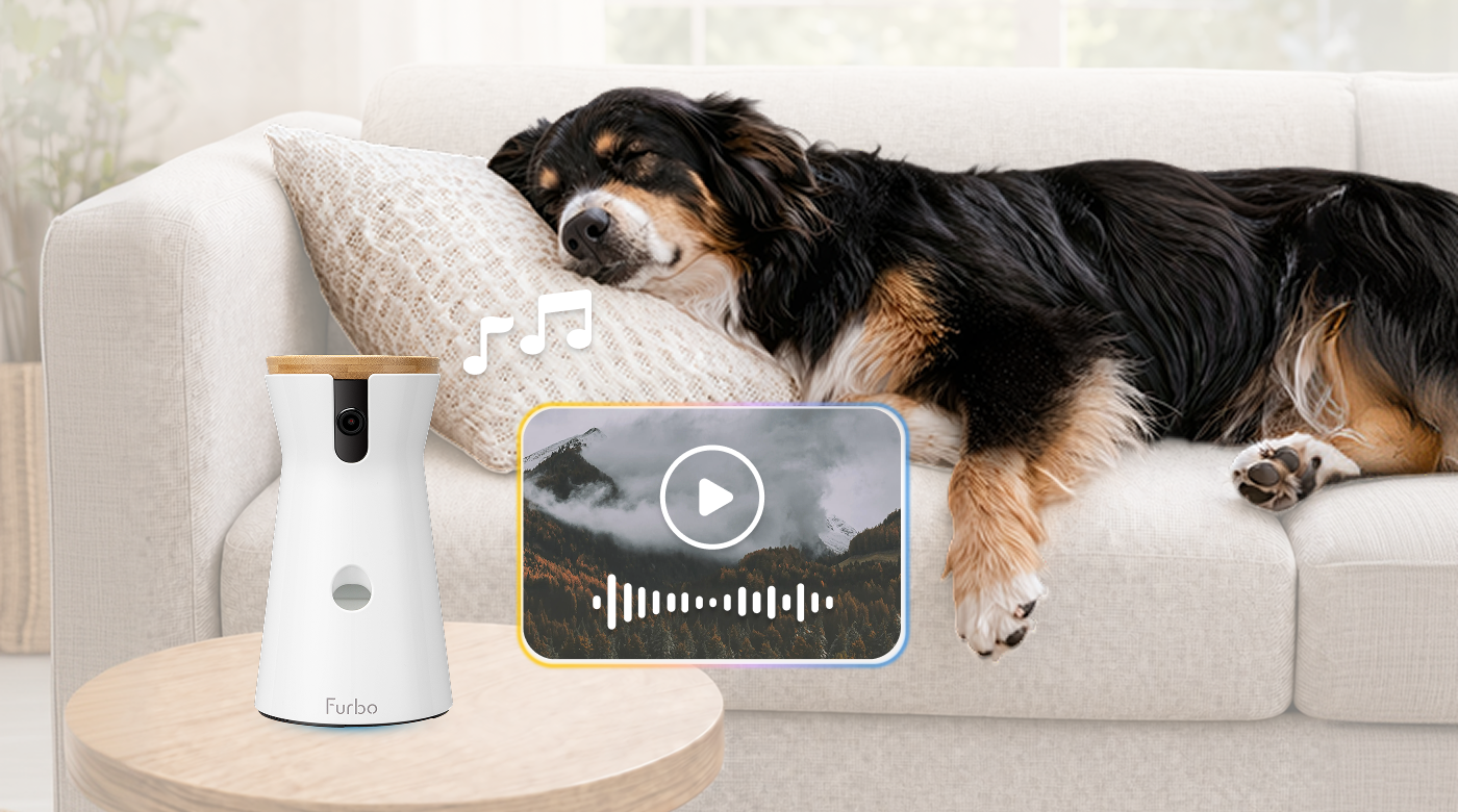Función de calma y audio bidireccional de Furbo Cámara 360° para perros